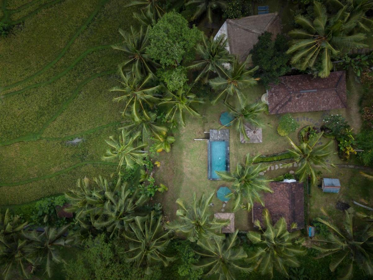 Green Sari Private Villa Ubud  Exterior photo